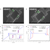 Time reversal symmetry breaking and zero magnetic field Josephson diode effect in Dirac semimetal Cd3As2 mediated asymmetric SQUIDs