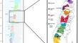 Agricultural Managements Influence the Diversity of Arbuscular Mycorrhizal Fungi in Vineyards from Chilean Mediterranean Climate Ecosystems