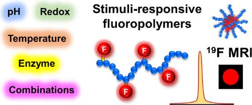 Stimuli-Responsive Polymers for Advanced <sup>19</sup>F Magnetic Resonance Imaging: From Chemical Design to Biomedical Applications.