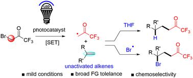 A facile access to aliphatic trifluoromethyl ketones via photocatalyzed cross-coupling of bromotrifluoroacetone and alkenes