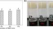 Influence of Rice Bran Wax Concentration on the Physical Properties and Stability of Resveratrol-Loaded Glycerol-in-Oleogel Emulsions