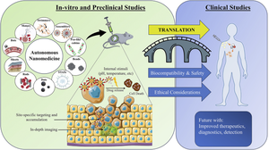 Advancing Autonomous Nanomedicine: Bridging the Gap from Concept to Potential Clinical Studies