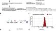 Lymph node-targeted STING agonist nanovaccine against chronic HBV infection.