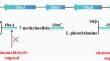 Research progress on inhibitors and inhibitory mechanisms of mycotoxin biosynthesis.