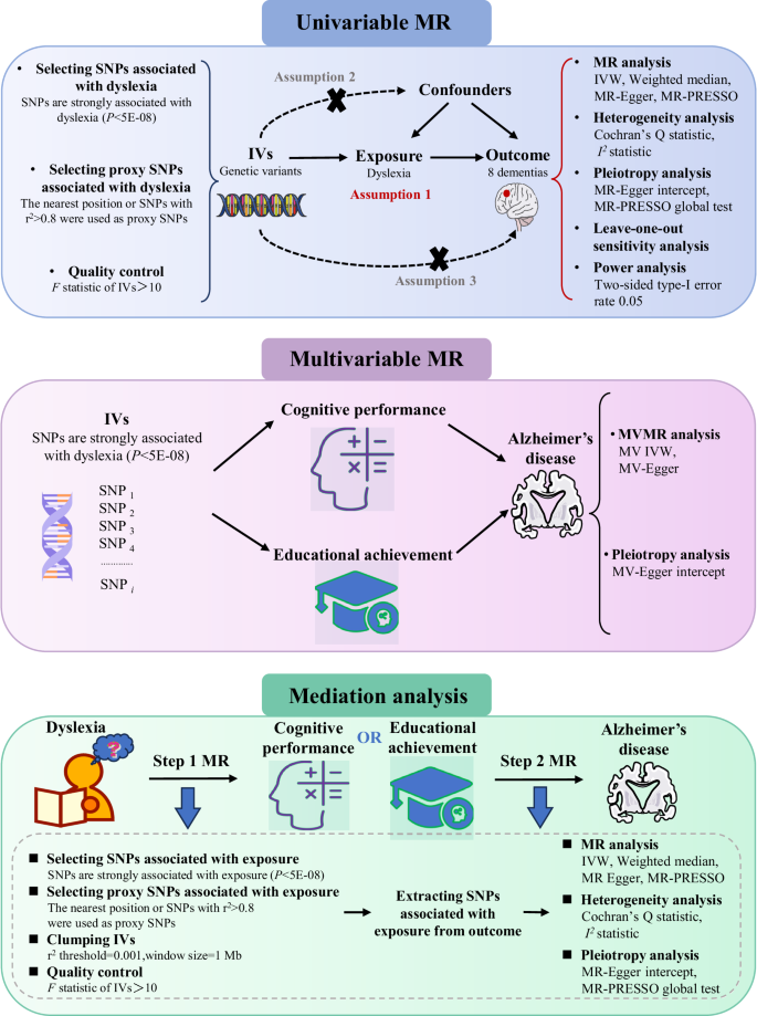 Causal relationships between dyslexia and the risk of eight dementias