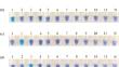 Rapid and specific detection of mackerels of the genus Scomber using loop-mediated isothermal amplification (LAMP)