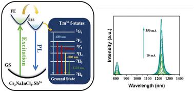 Investigating energy transfer in lanthanide-doped double perovskites exhibiting visible and near-infrared emission†