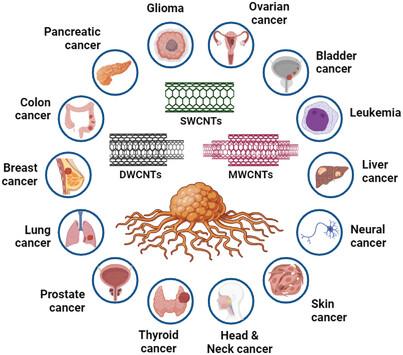 Carbon Nanotubes in Cancer Diagnosis and Treatment: Current Trends and Future Perspectives