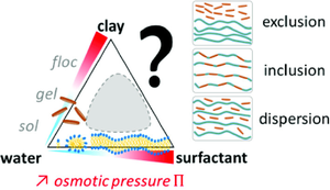 Insertion of anionic synthetic clay in lamellar surfactant phases