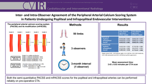 Inter- and Intra-observer Agreement of the Peripheral Arterial Calcium Scoring System in Patients Undergoing (Infra)Popliteal Endovascular Interventions.