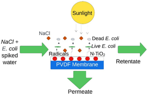 Fouling reduction and flux enhancement of visible light driven nitrogen doped titanium dioxide-polyvinyl difluoride photocatalytic membrane: modelling and optimization of multiple variables