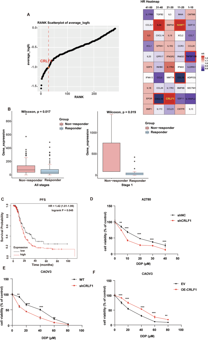 CRLF1 bridges AKT and mTORC2 through SIN1 to inhibit pyroptosis and enhance chemo-resistance in ovarian cancer