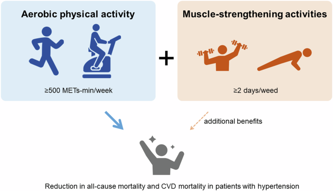 Combining muscle strengthening activity and aerobic exercise: a prescription for better health in patients with hypertension