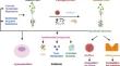 Enhancing Plant Disease Resistance: Insights from Biocontrol Agent Strategies