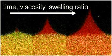 Phase separation dynamics in wetting ridges of polymer surfaces swollen with oils of different viscosities