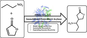 Promiscuous acylase as a green catalyst: to directly catalyze the conjugate addition reaction for the synthesis of brivaracetam intermediates