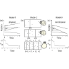 Universality classes in out-of-equilibrium systems: An encompassing theorem for a one-dimensional fusing particles model