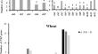 Analysis and profiling of the purple acid phosphatase gene family in wheat (Triticum aestivum L.).