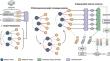 GoSum: extractive summarization of long documents by reinforcement learning and graph-organized discourse state