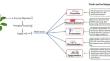 Single-cell multi-omics in the medicinal plant Catharanthus roseus: a new era of next generation therapeutics