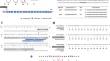 New CRISPR/Cas9-based Fgfr2<sup>C361Y/+</sup> mouse model of Crouzon syndrome exhibits skull and behavioral abnormalities.