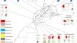 Diversity, distribution, and biological control strategies of plant parasitic nematodes: insights from Morocco within a global context—a comprehensive review and future research perspectives