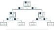 "Identifying complication risk factors in reduction mammaplasty: a single-center analysis of 1021 patients applying machine learning methods".