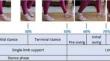 Dynamic control simulation of a new joint model with energy recovery during walking, using magnetorheological fluids, for lower limb prosthesis