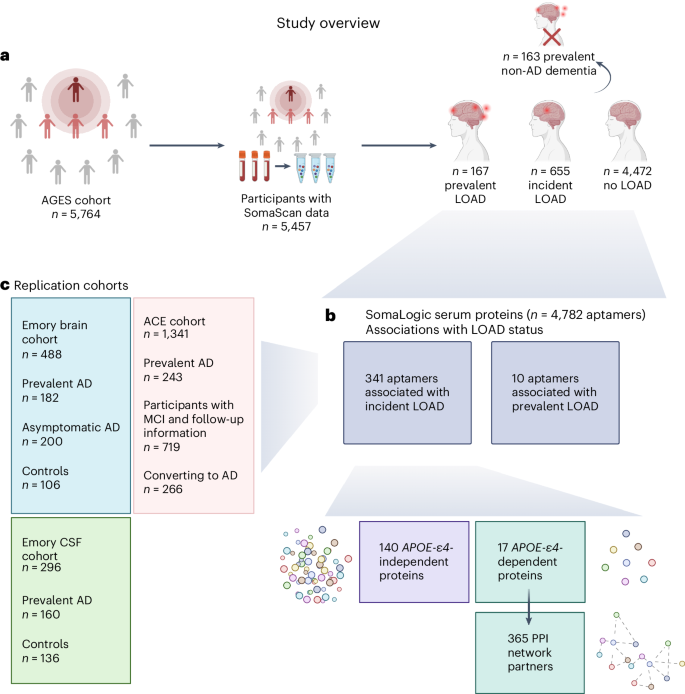 Serum proteomics reveal APOE-ε4-dependent and APOE-ε4-independent protein signatures in Alzheimer’s disease