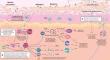 Extended Half-life Antibodies: A Narrative Review of a New Approach in the Management of Atopic Dermatitis.