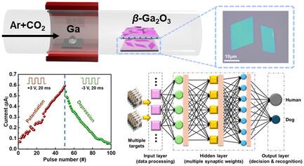 Space-Confined Growth of Ultrathin 2D β-Ga2O3 Nanoflakes for Artificial Neuromorphic Application