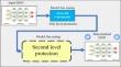 Hybrid two-level protection system for preserving pre-trained DNN models ownership