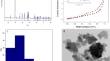 Performance Enhancement of Polymer Electrolyte Membrane with Nano-Calcium Carbonate Prepared by Mechanochemical for Direct Methanol Fuel Cell Applications