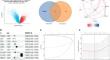 The Effect of Cuproptosis-Related Proteins on Macrophage Polarization in Mesothelioma is Revealed by scRNA-seq.