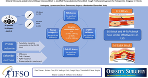 Bilateral Ultrasound-Guided External Oblique Intercostal Block Vs. Modified Thoracoabdominal Nerve Block Through Perichondrial Approach for Postoperative Analgesia in Patients Undergoing Laparoscopic Sleeve Gastrectomy Surgery: A Randomized Controlled Study