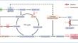 Multilevel metabolic engineering for enhanced synthesis of S-adenosylmethionine by Bacillus amyloliquefaciens.