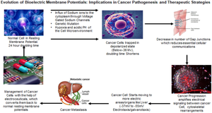 Evolution of Bioelectric Membrane Potentials: Implications in Cancer Pathogenesis and Therapeutic Strategies.