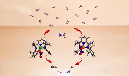 Mechanistic Insight of High-Valent First-Row Transition Metal Complexes for Dehydrogenation of Ammonia Borane.