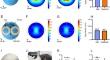 Enhancing Transcranial Magnetic Stimulation Comfort: The Role of Electrical Stimulation in Pain Reduction.