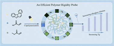 A polymer rigidity probe based on ultralong organic room temperature phosphorescence of a new skeleton benzo[4,5]imidazo[1,2-a]pyridine