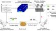 From Perception to Action: Brain-to-Brain Information Transmission of Pigeons