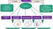 Potential and Limitation of Peptides from Native Plants of Uttarakhand