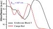 Functionally graded chitosan ferrite beads for photocatalytic degradation of Eriochrome Black T and Congo red dyes