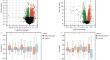 IRF9 and STAT1 as biomarkers involved in T-cell immunity in atherosclerosis