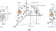 Molecular Communication Under Different Signaling Waveforms and Biological Deployments