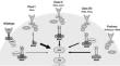 Targeting Non-V600 Mutations in BRAF: A Single Institution Retrospective Analysis and Review of the Literature.