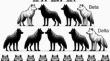 Improved multi-strategy adaptive Grey Wolf Optimization for practical engineering applications and high-dimensional problem solving