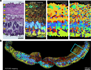 Analyzing submicron spatial transcriptomics data at their original resolution