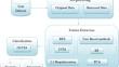 Polycystic ovary syndrome detection using optimized SVM and DenseNet