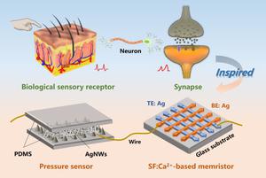 Memristor-based artificial tactile perception systems with integrated functions of sensing, storage and computing